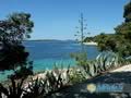 Hvar